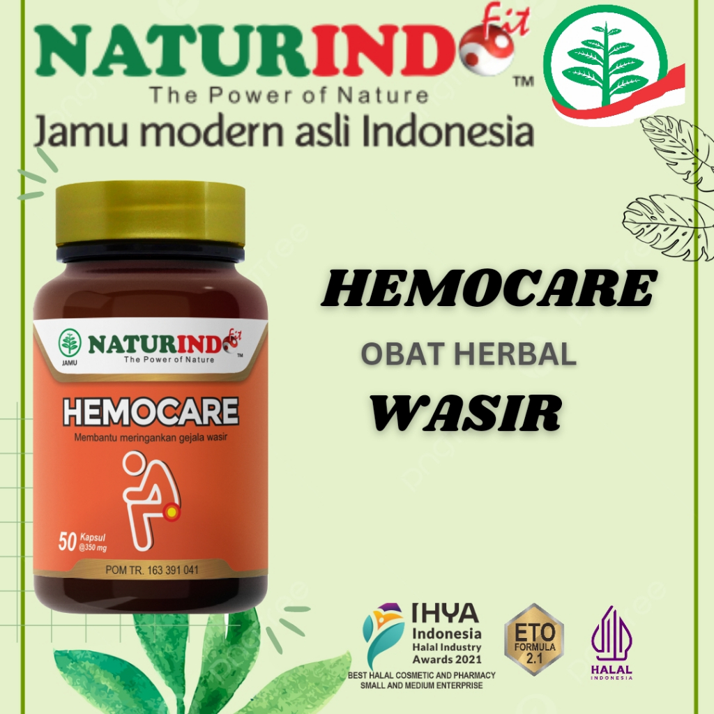 

OBAT HERBAL HEMOCARE, UNTUK YANG MENDERITA WASIR AMBEIEN DAN UNTUK MEMBERSIHKAN USUS