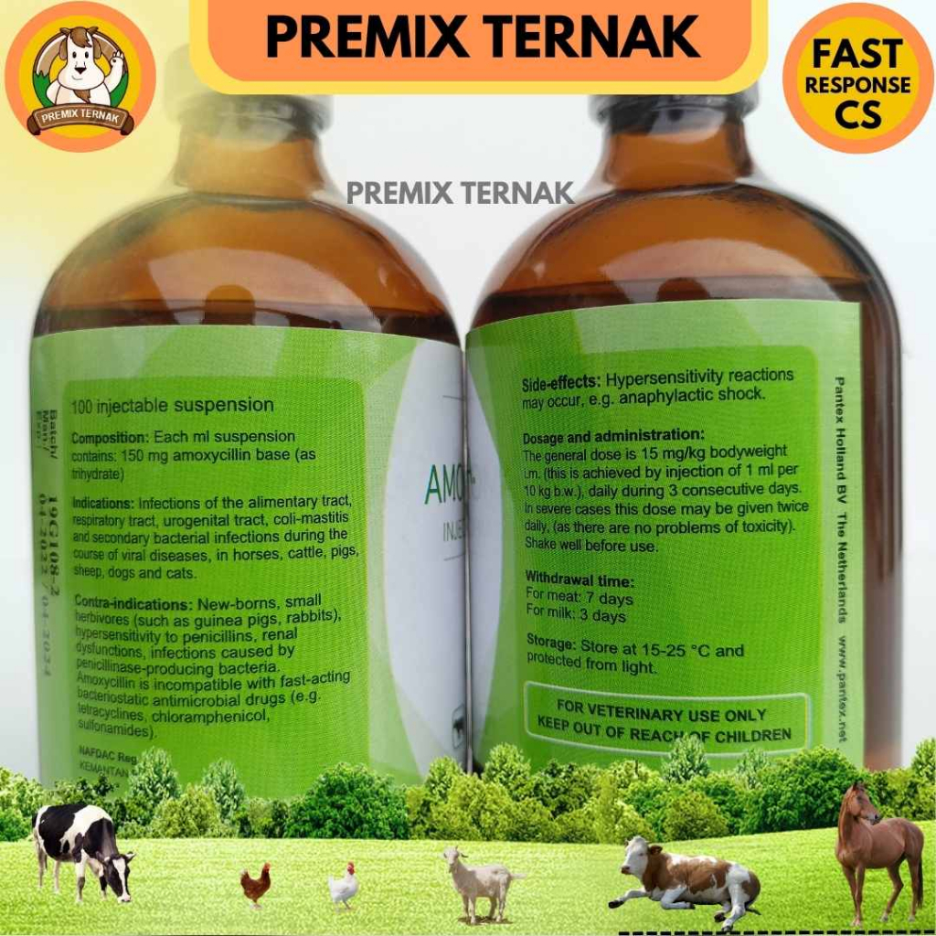 PANTEX AMOXY LA 150 100 ml - Amoxy LA 100 ml - Mirip Betamox 100 ml