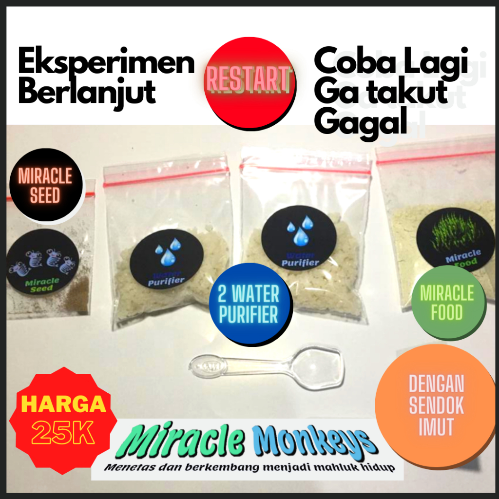 Miracle Monkeys Restart - Paket Anti takut gagal lagi Pelihara Miracle Monkeys monyet laut ajaib
