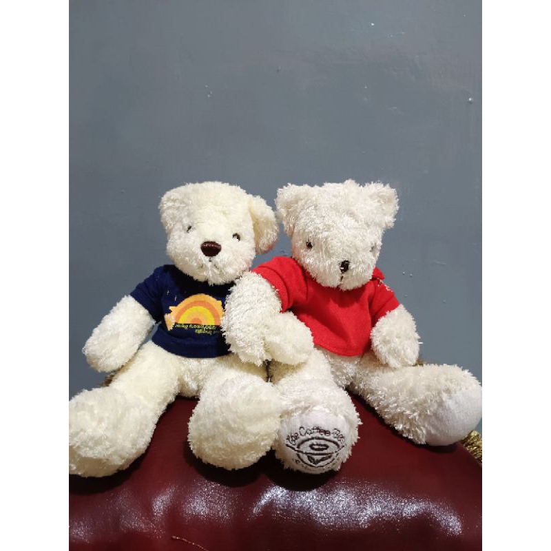 boneka teddy rich x cofee bean