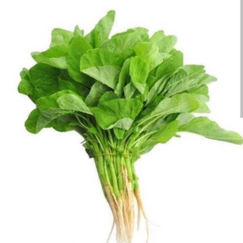 

sayur bayam