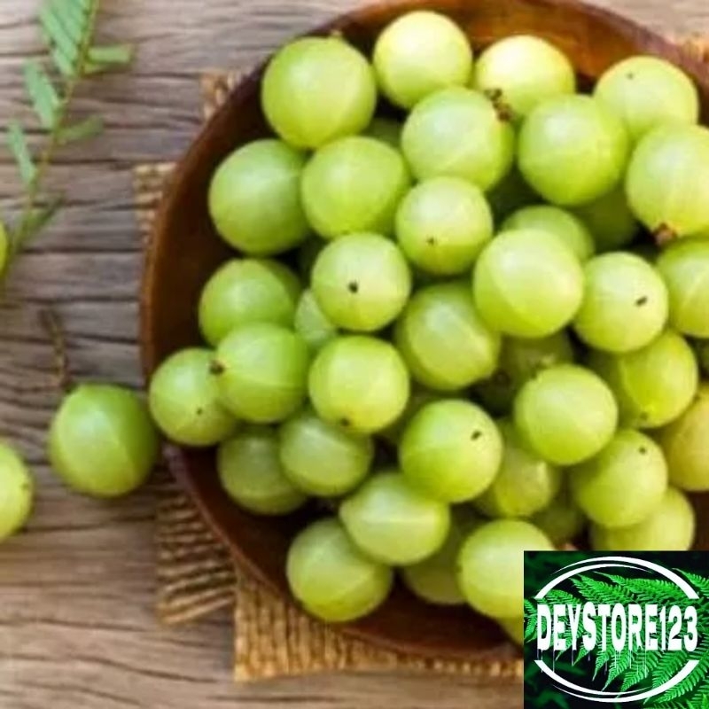 

jual buah malaka atou amla segar 500 grm