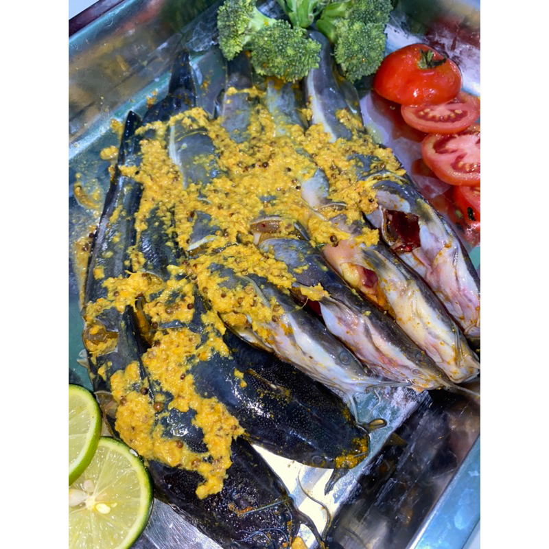 

Lele bumbu kuning/ lele ungkep/ lele frozen/ lele fresh/ lele marinasi