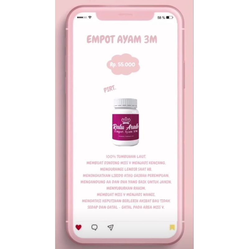 BIBIT RATU ARAB EMPOT AYAM 3M ORIGINAL