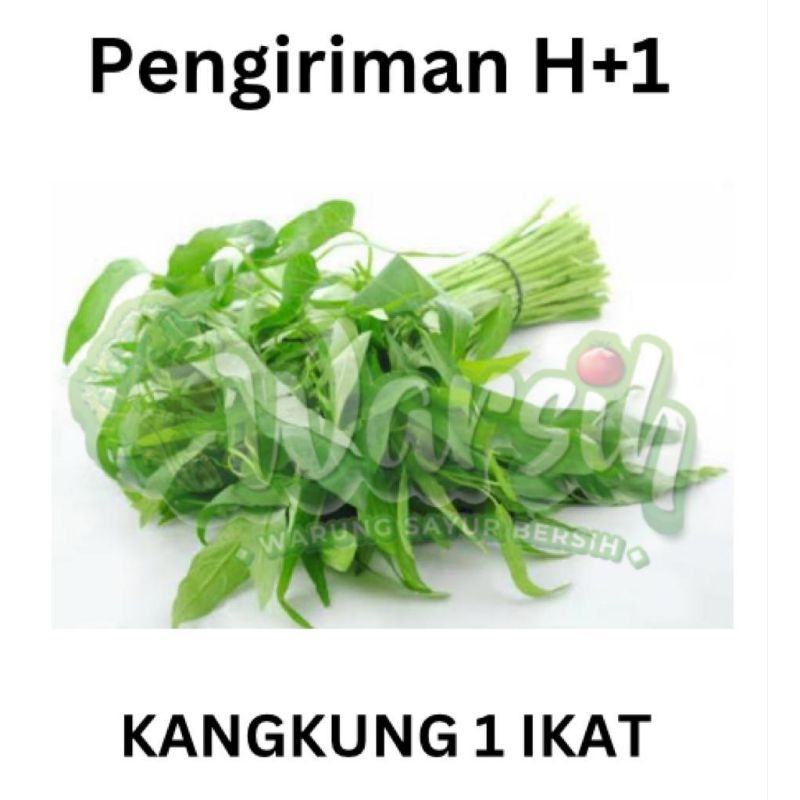 

WARSIH • KANGKUNG 1 IKAT
