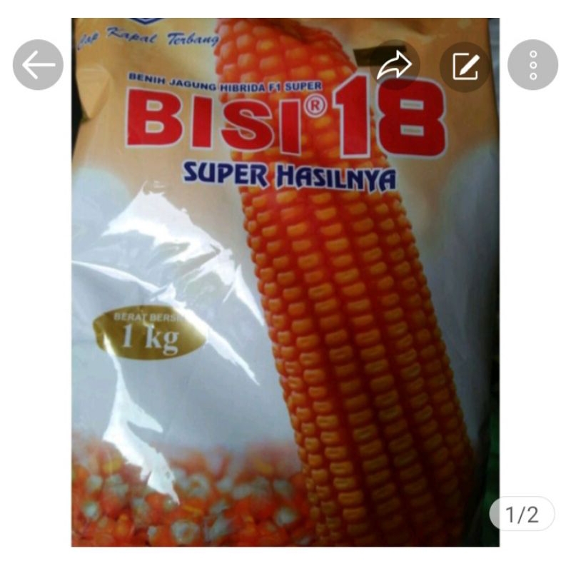 jagung BISI 18 kemasan 1 kg