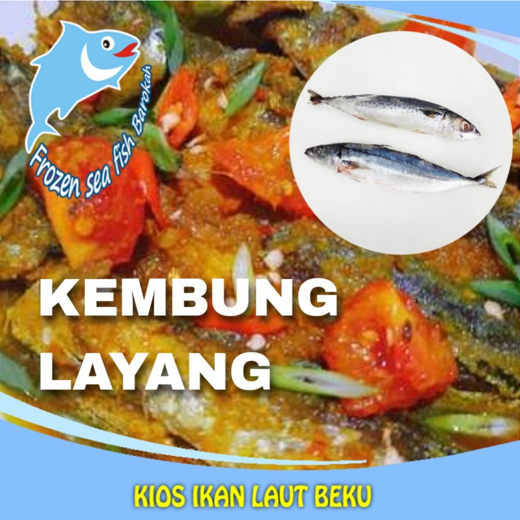 

Kembung layang biru