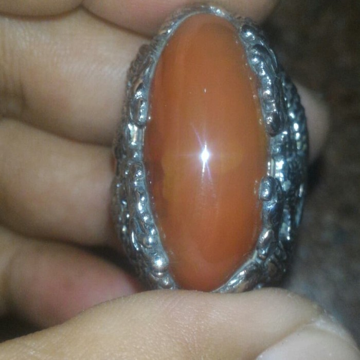 PANDAN NANAS MADU 01