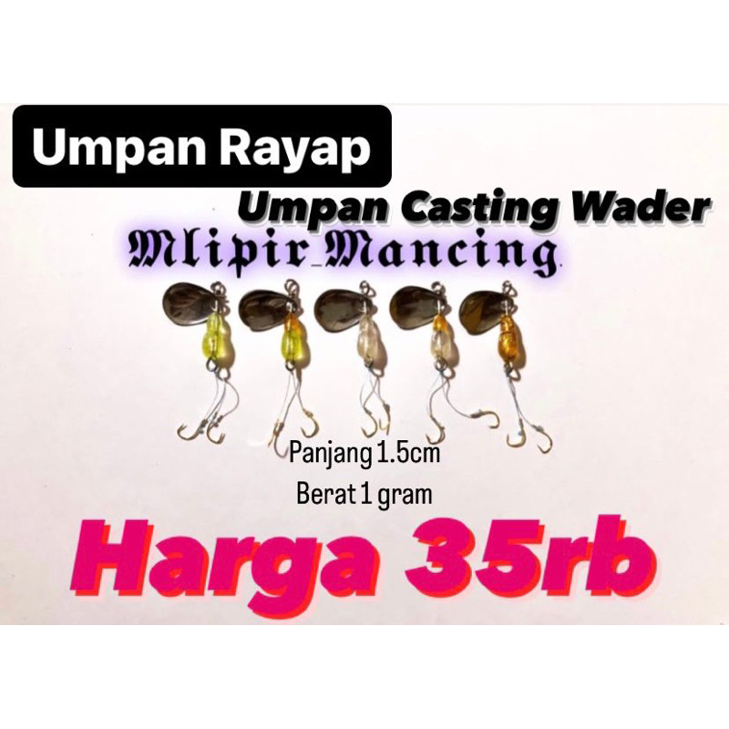 UMPAN RAYAP - UMPAN RAYAP CASTING WADER