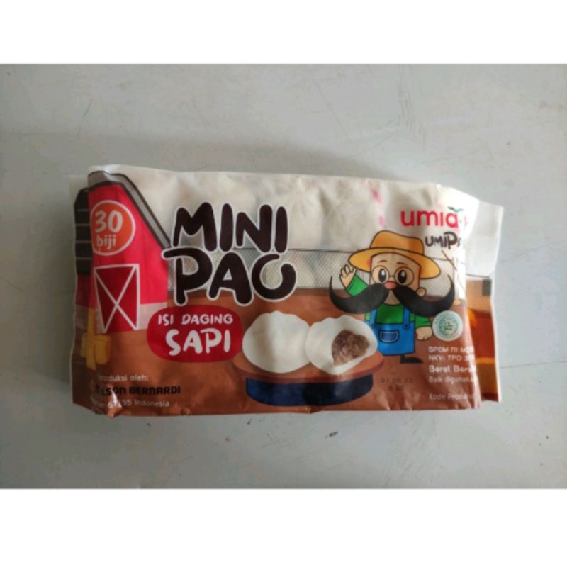 Bakpao mini Pao isi coklat ayam sapi bakpao isi 30