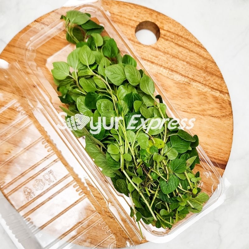 KIRIM INSTAN Daun Oregano Segar 30gr