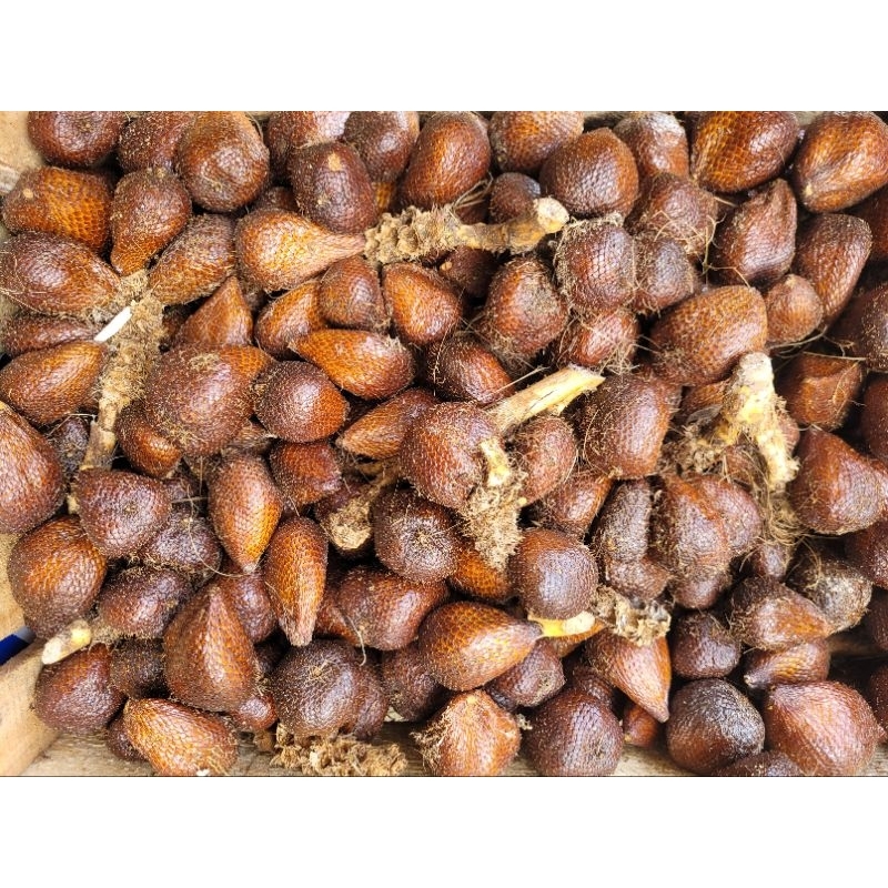

Salak Pondoh 500gr Manis Renyah