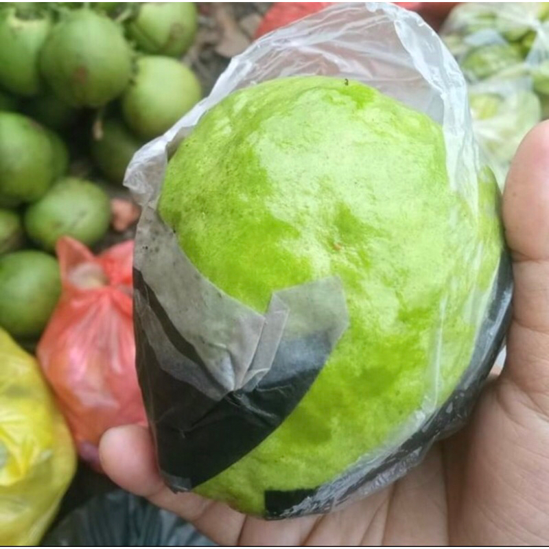 

Jambu klutuk putih fresh 1kg