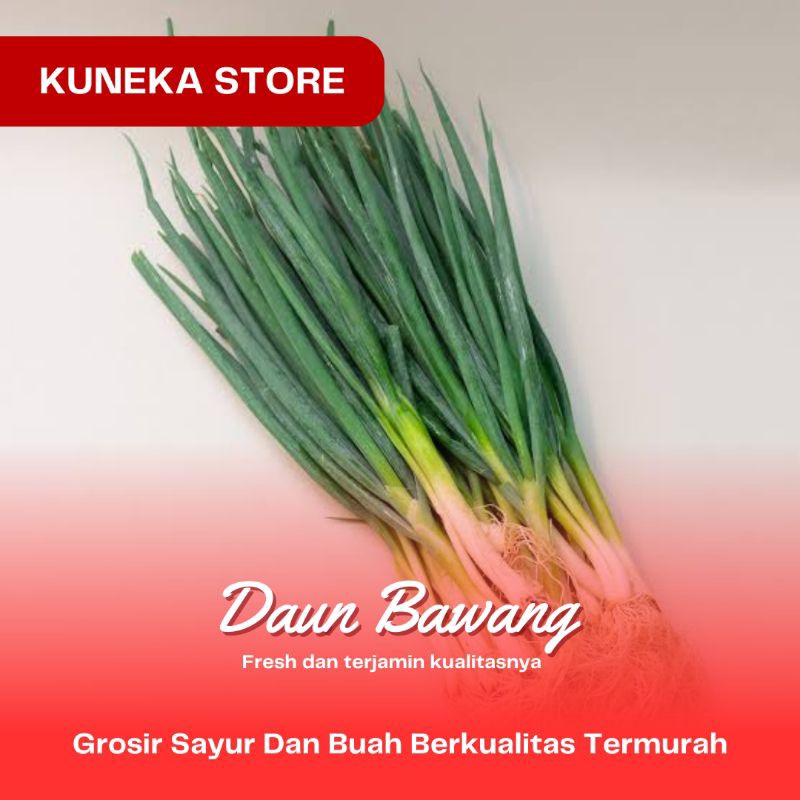 

DAUN BAWANG HIJAU FRESH TERLARIS