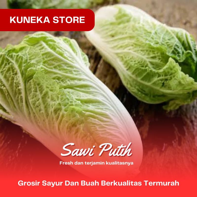 

SAWI PUTIH SAMHO BESEI SEGAR FRESH TERLARIS