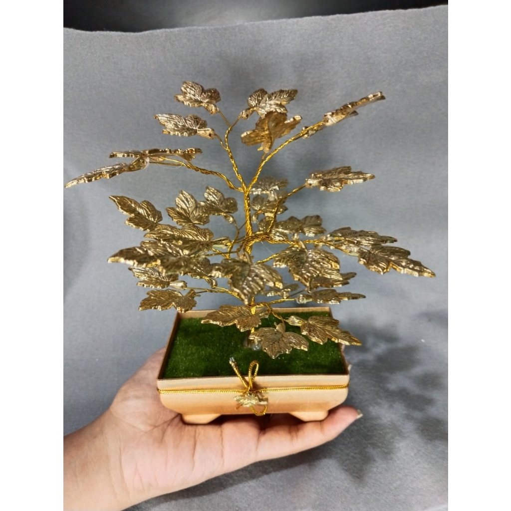 Bonsai Arbei Besar Gold Series Pot segi Gold- Pajangan Bonsai cantik