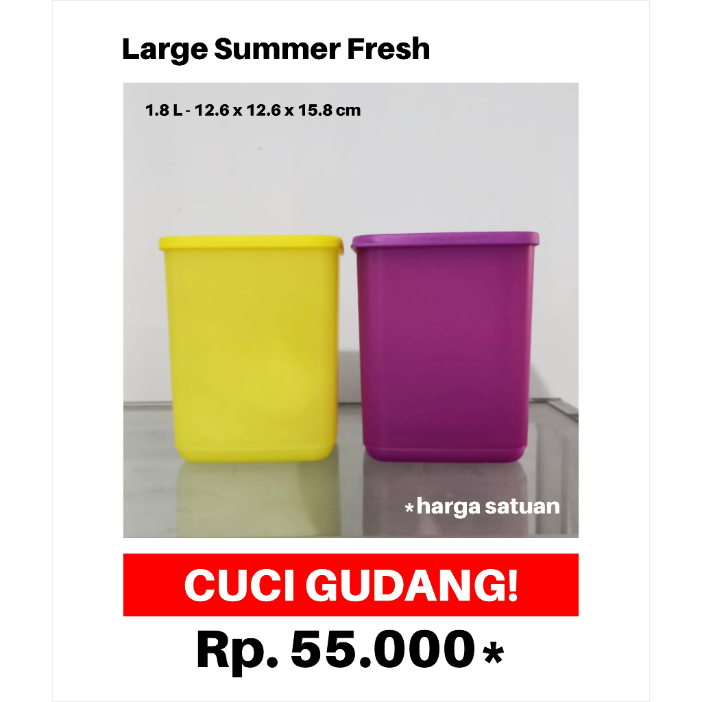 OBRAL Tupperware - Large Summer Fresh