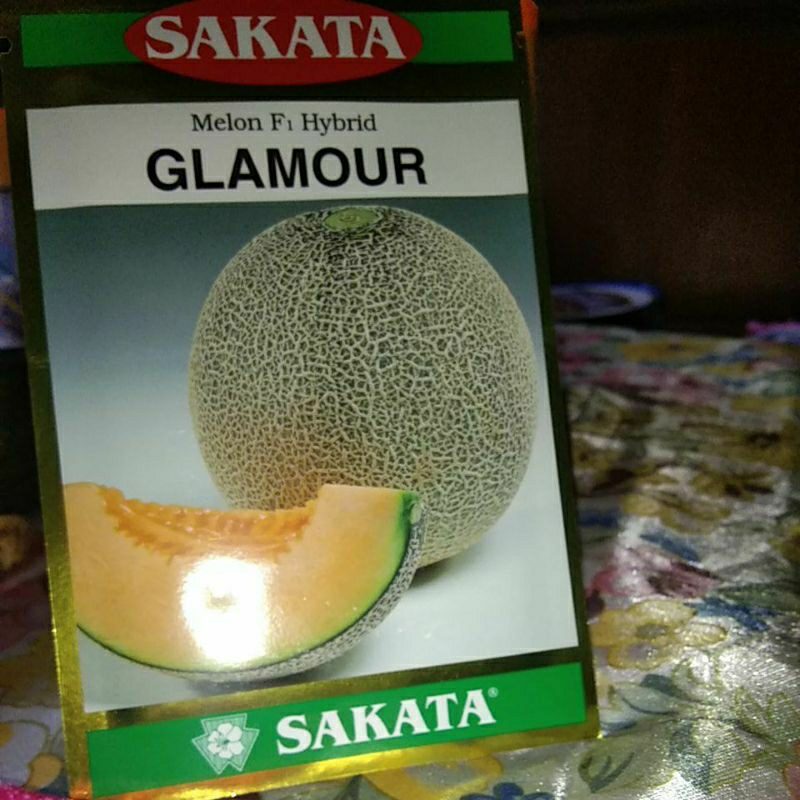 

melon SAKATA GLAMOUR f1