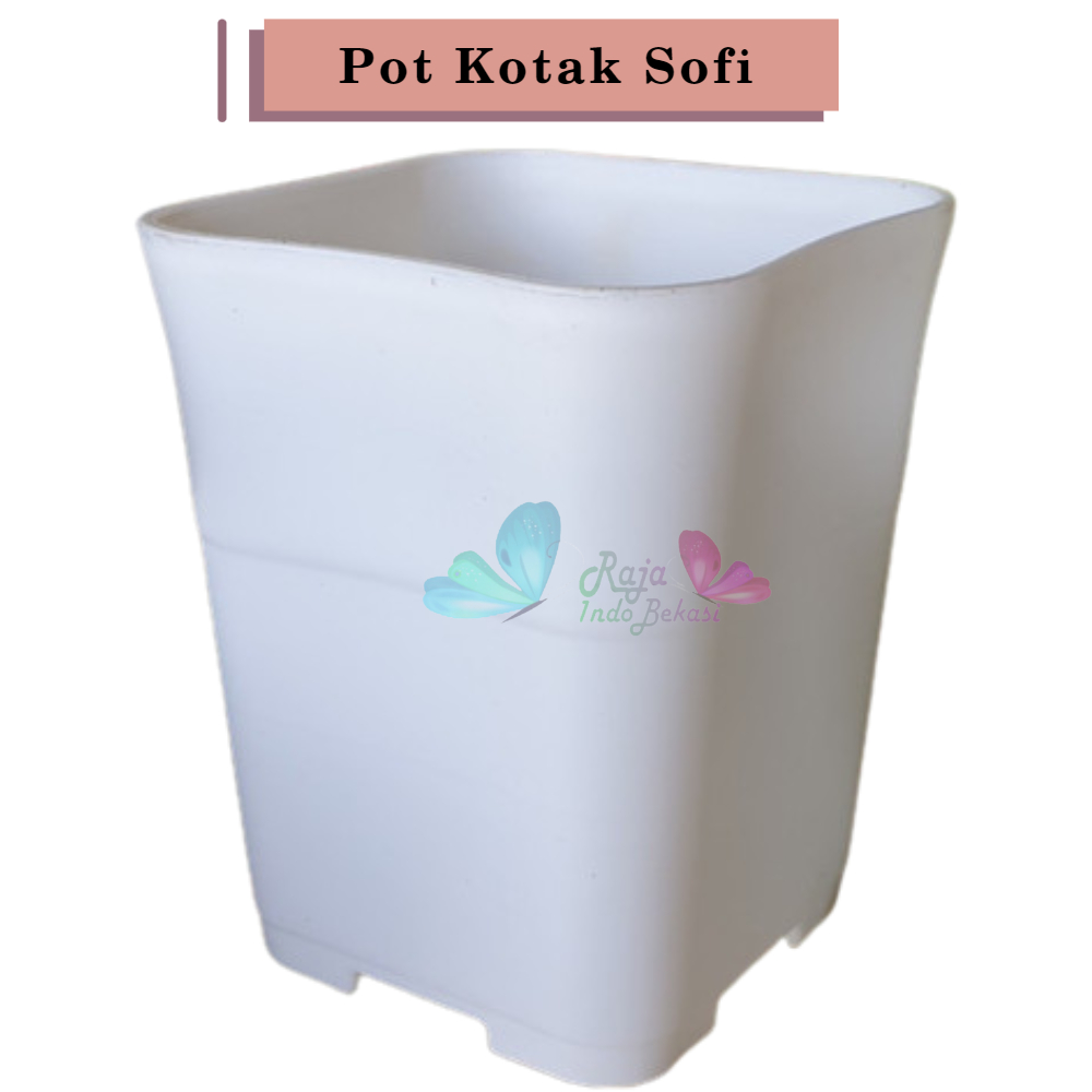 Pot Kotak Kecil Sofi 8 Cm Putih Hitam / Kotak Batik Pot Cactus Katus Sanse Sekulen | Bukan Pot Nkt