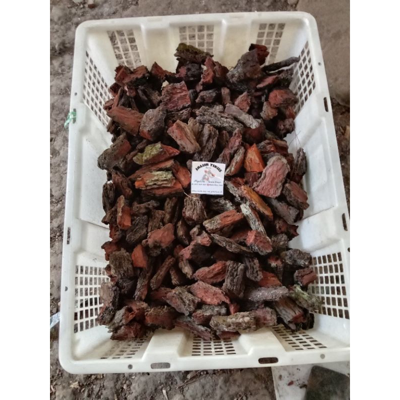 forest bark/pine bark/kulit pinus 1kg.