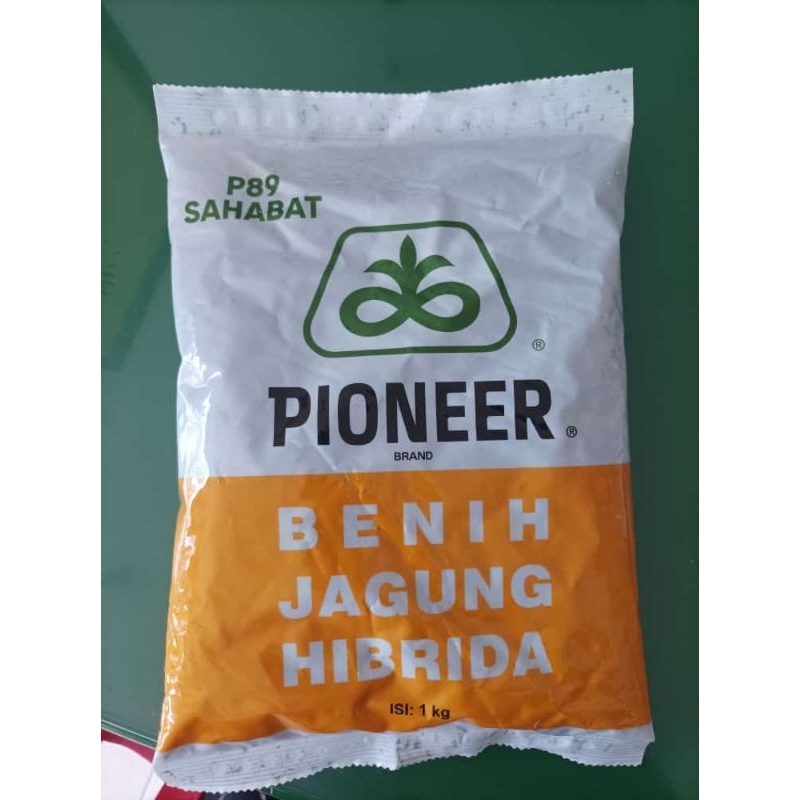 Benih jagung hibrida Pioneer P89 Sahabat
