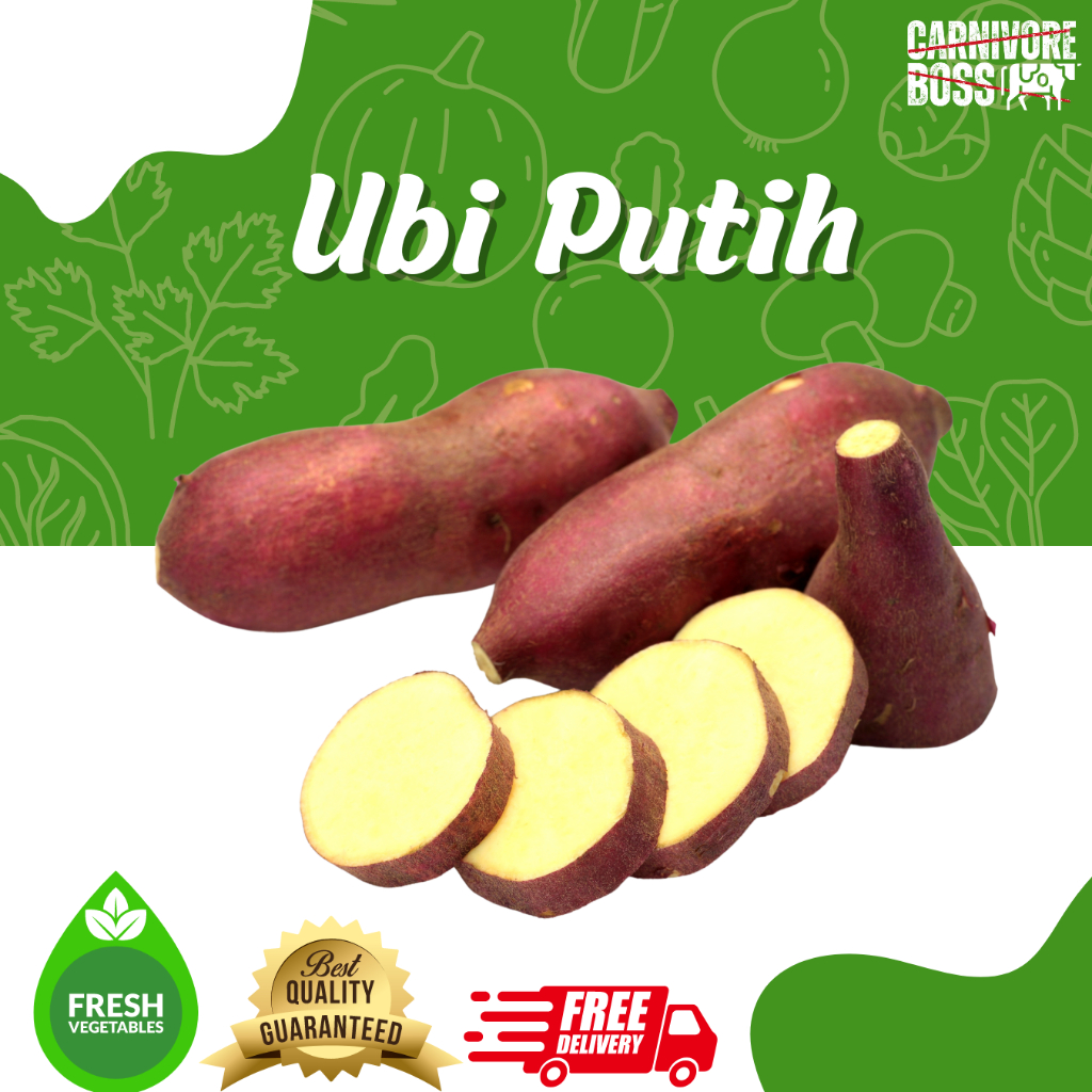 

UBI PUTIH SEGAR 1KG / UBI SEGAR / UBI PUTIH / TELA / TELO / KETELA