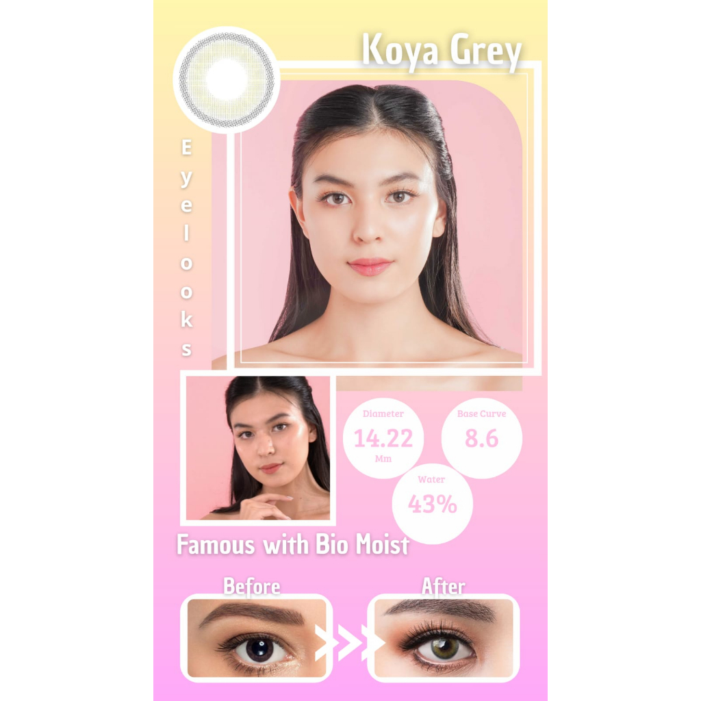 Famous With Biomoist Koya Grey Monthly Softlens Warna