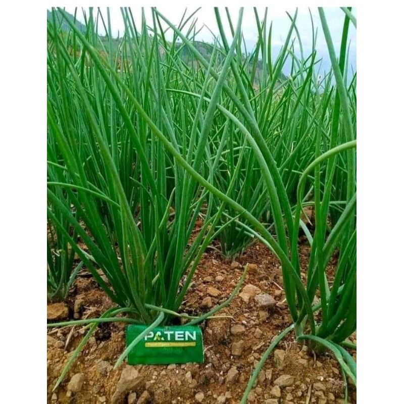 PUPUK PATEN ORGANIK + PUPUK IMUN