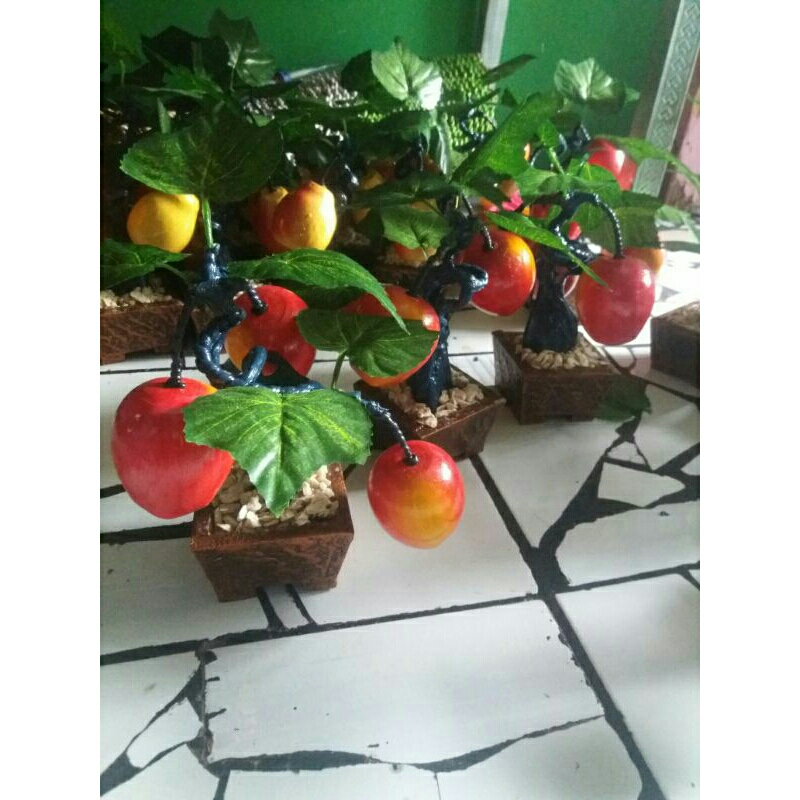 Hiasan Bonsai BUAH Kayu/pajangan meja/bonsai meja