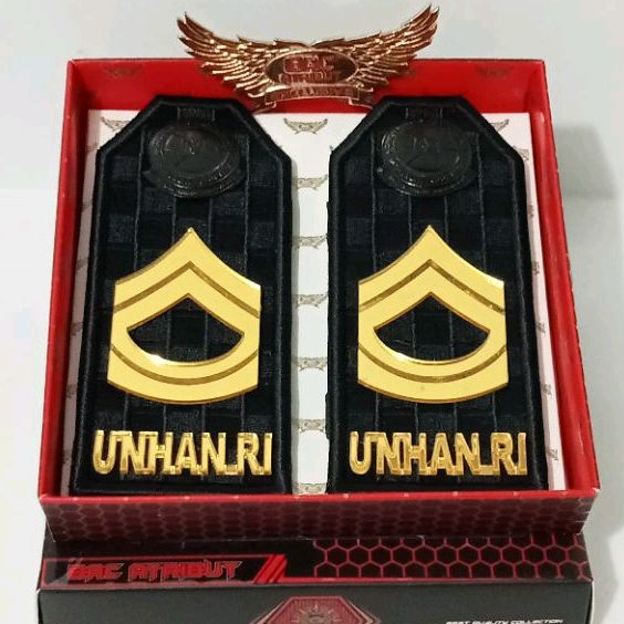 Pangkat Pdu UNHAN_RI chevron 2-2