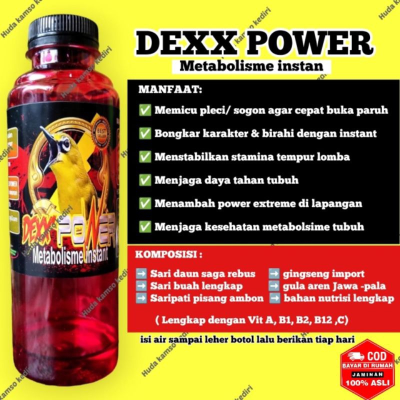 DEXX POWER METABOLISME INSTANT BURUNG