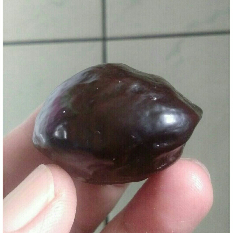 Kemiri Adu Muncang Adu Wadas Ori Garung