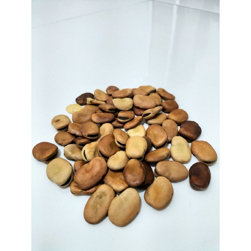 

kacang foul 500gram