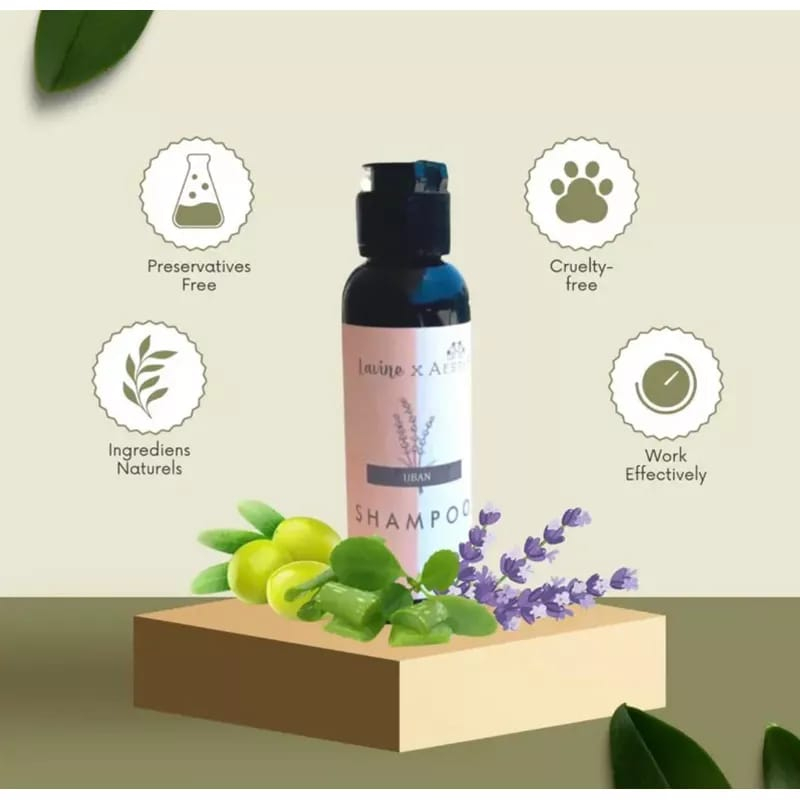 Shampo Uban Lavine Shampo Sampo Lavine Efektif Menghilangkan Uban Permanen