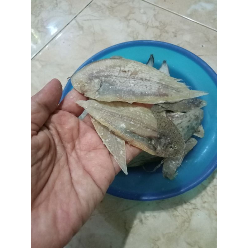 

ikan asin lidah Medan