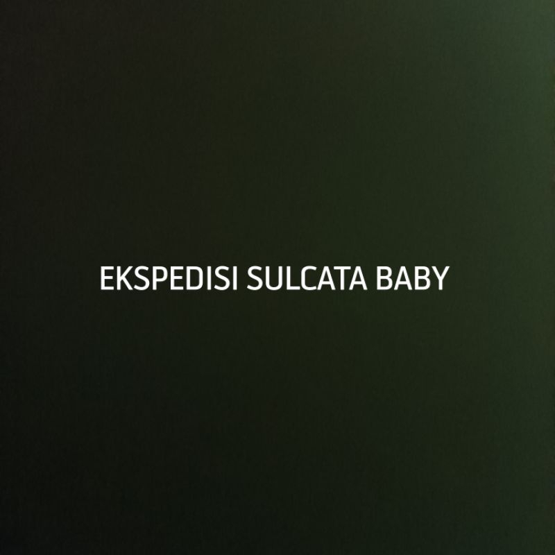 Ekspedisi Sulcata Baby Grade A