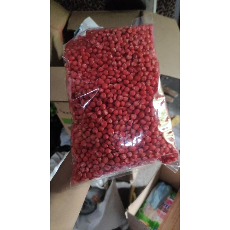 benih jagung ADV Jago repack (dulu PAC 789 Raksasa)