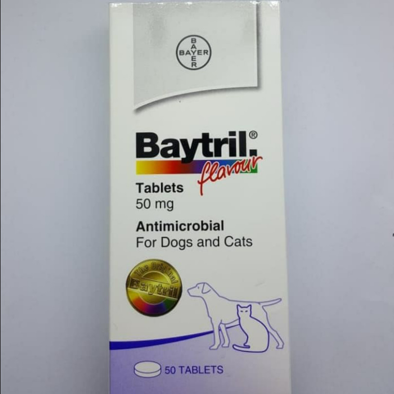 Baytril Flavour Tablet 50mg - Antibiotik Anjing Kucing