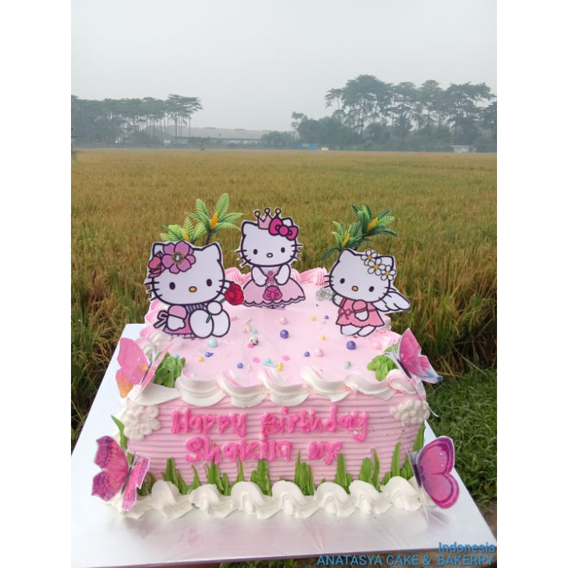 

cake ultah karakter