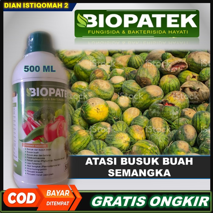 Terbaru BIOPATEK Fungisida & Bakterisida Hayati Pupuk Paling Ampuh Atasi Busuk Tanaman Semangka – Ob