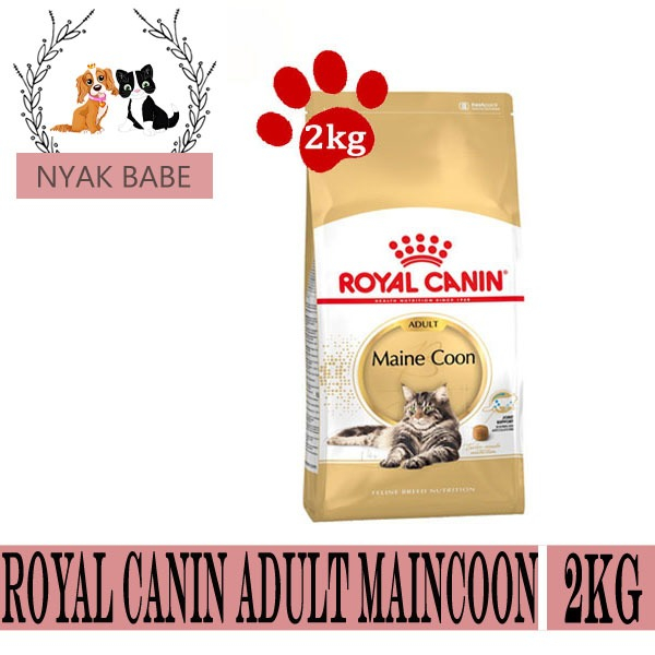 ROYAL CANIN MAINECOON 2KG