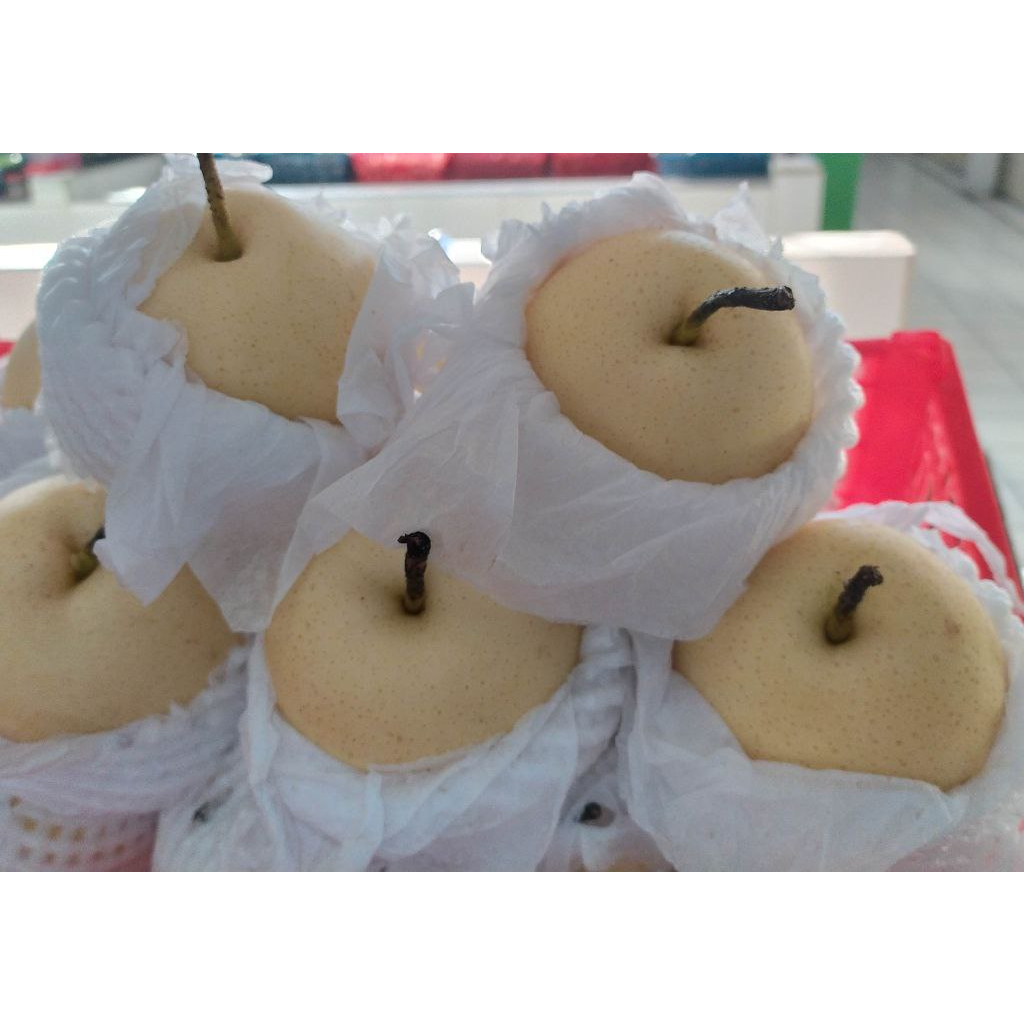 

Pir/Pear Kuning Pir/Pear Century Madu 0,9 - 1 kg