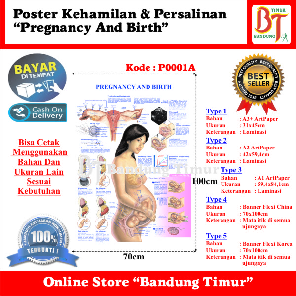 

POSTER KEHAMILAN DAN PERSALINAN PREGNANCY AND BIRTH