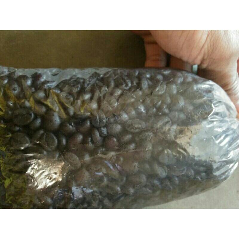 

coffee original/original coffee/signature coffee/black coffee/robusta coffee