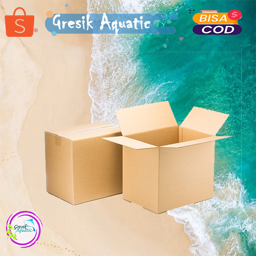 

Biaya Packing Kardus Tambahan