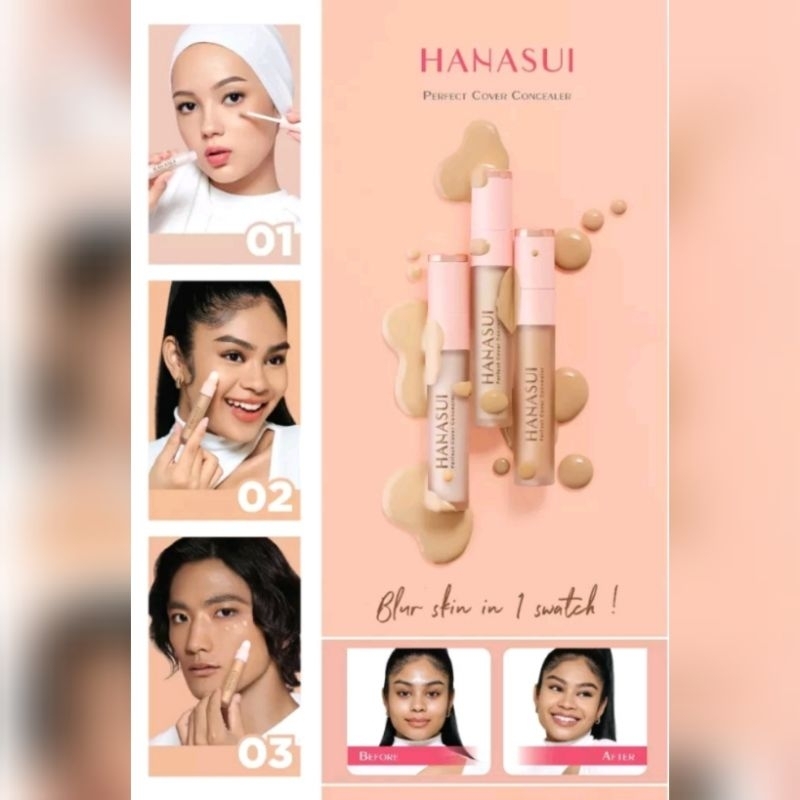 HANASUI PERFECT COVER CONCEALER