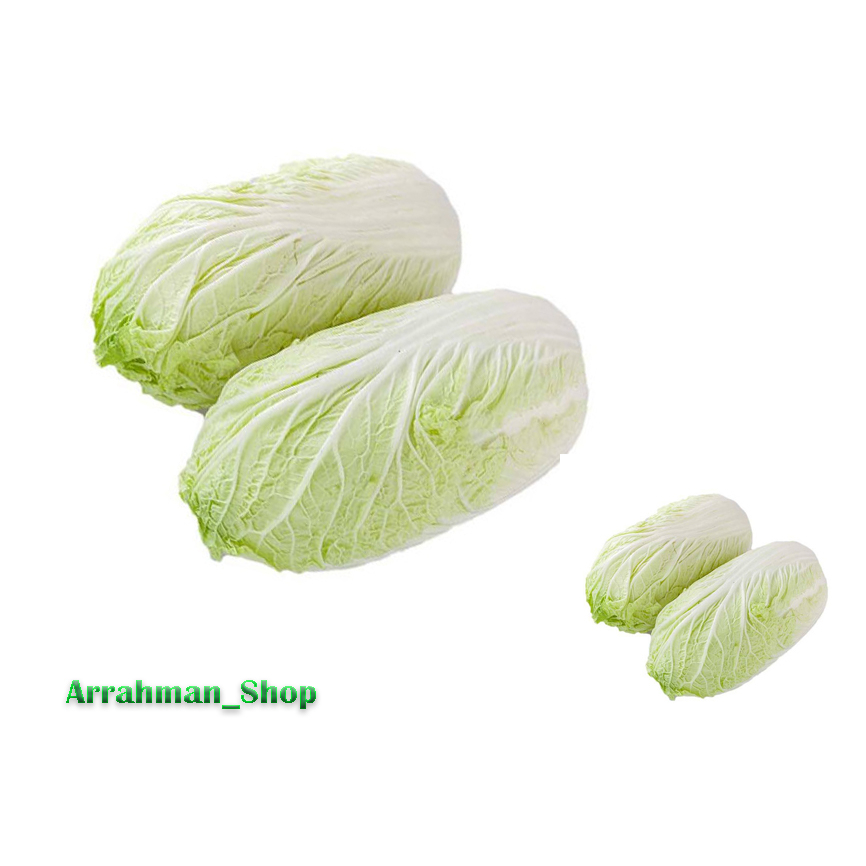 

Sawi Putih - Sayur Sawi Putih Kubis Segar Fresh Termurah