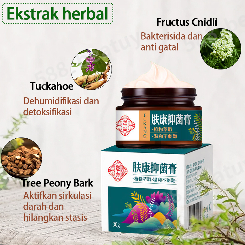 [100% Asli ] Obat gatal kulit Obat gatal paling ampuh Obat gatal selangkangan 30g Bakteriostasis herbal/Eksim membandel/Kulit gatal/Gatal di selangkangan/Krim Antipruritic Seluruh Tubuh