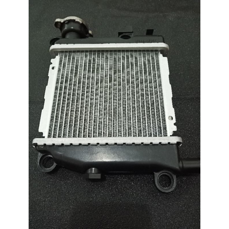 Radiator assy motor xeon