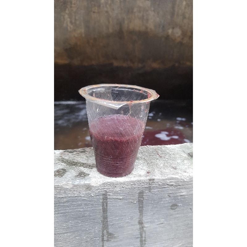 Casut Cacing Sutra Hidup Segar 1/2 Gelas Aqua